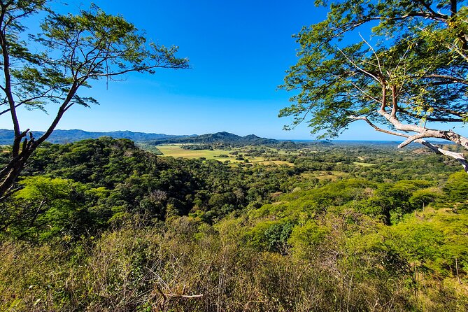 Costa Rica Monkey Jungle Zipline From Tamarindo