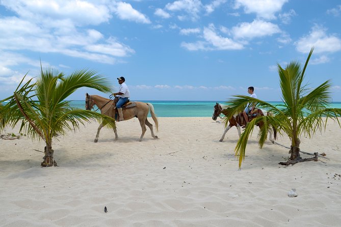 Cozumel Beach Horseback Riding Tour - Tour Overview