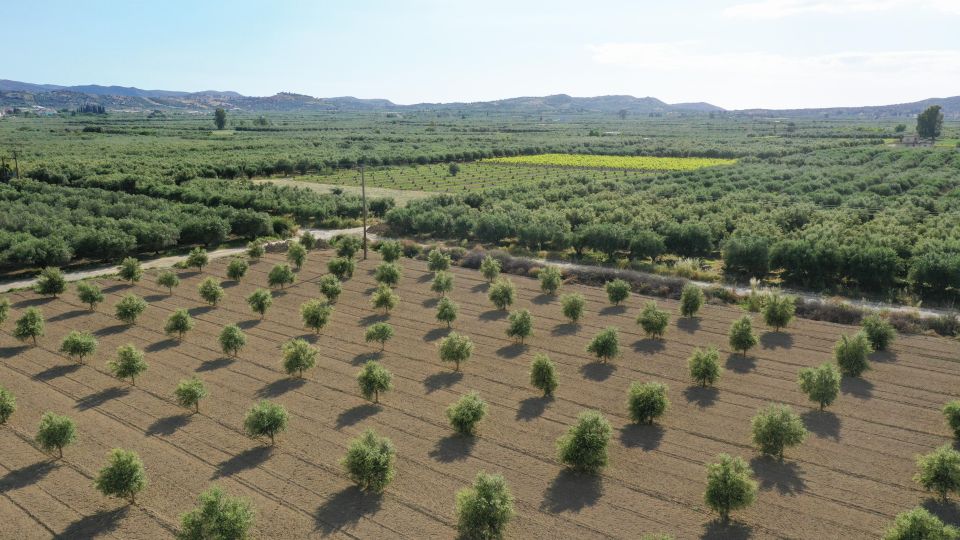 Cretan Farm Tour With Cheese-Making & Food Picnic - Tour Details