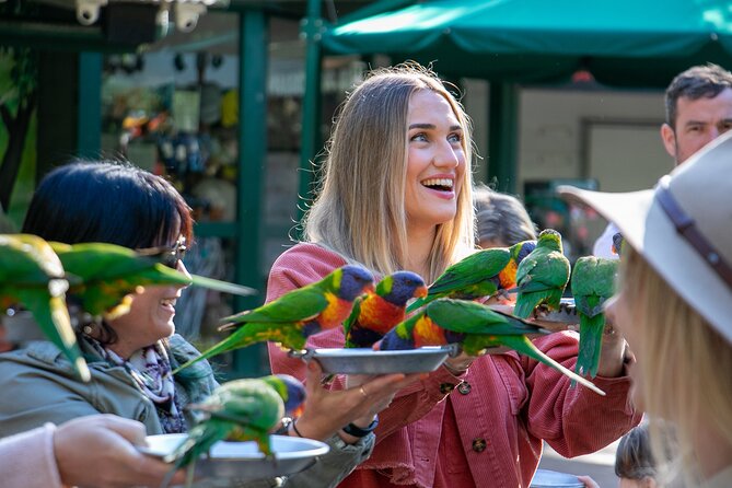 Currumbin Wildlife Sanctuary General Entry Ticket - Sanctuary Overview and Location