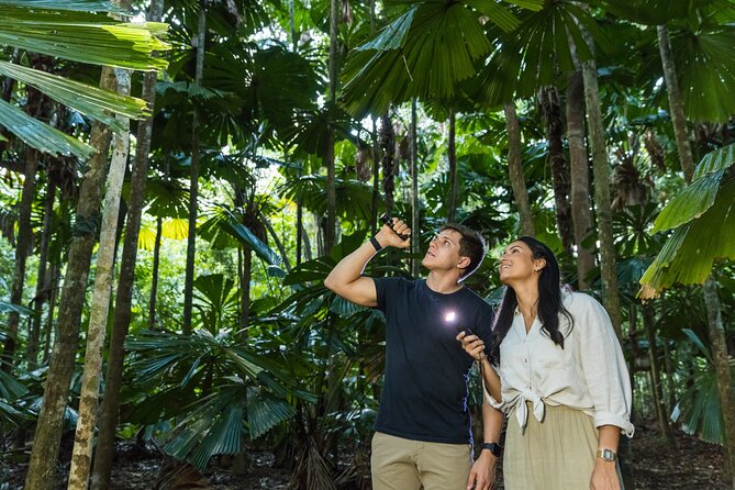 Daintree Afternoon Nocturnal Nature and Wildlife Tour