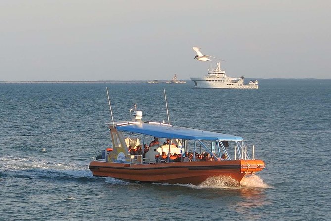 Discover Darwin Harbour 1 Hour Darwin Harbour Cruise - Cruise Highlights and Features