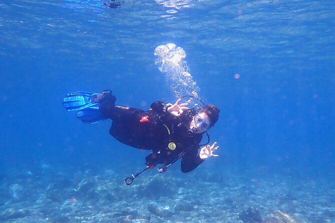 Dives Packages With Transfers in Tenerife - Package Overview