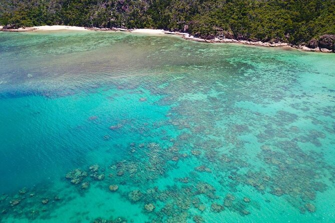 Double Dive Adventure Day Tour - Dive Safari Whitsundays - Tour Highlights and Experience