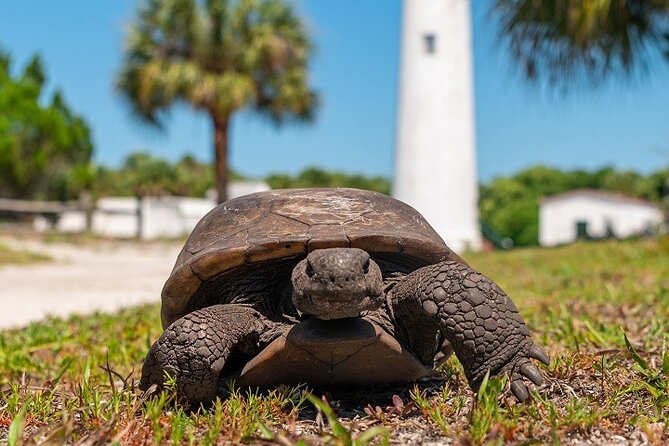 Edgmont Key Ferry From Fort De Soto Park  – St Petersburg