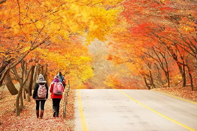 Essential Autumn Foliage of Korea 3 Days With Sorak and Odaesan Mountain - Autumn Foliage Tour Highlights