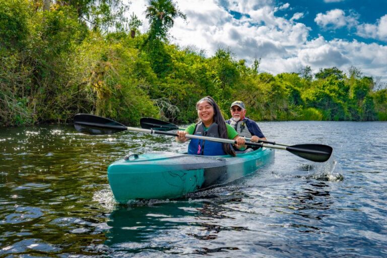 Everglades City: Guided Kayaking Tour of the Wetlands