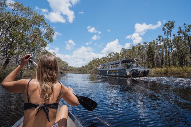 Everglades Explorer – Noosa Everglades Tour