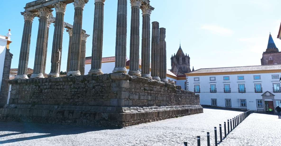 Evora and Monsaraz: Wine and Gastronomy Tour - Tour Highlights