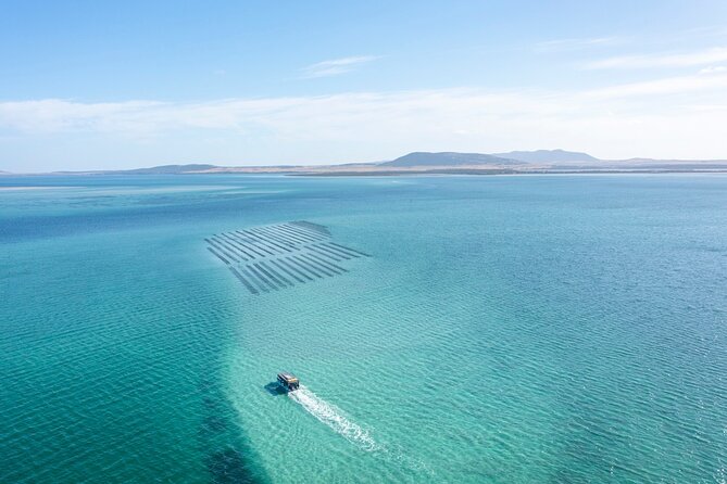 Experience Coffin Bay Oyster Farm and Bay Tour - Meeting and Pickup Details