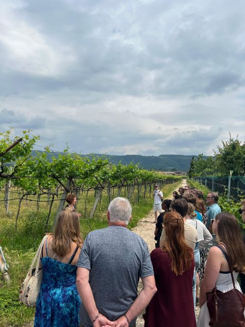 Florence: 2 Chianti Cellar Tours, Lunch & Transfer - Tour Details