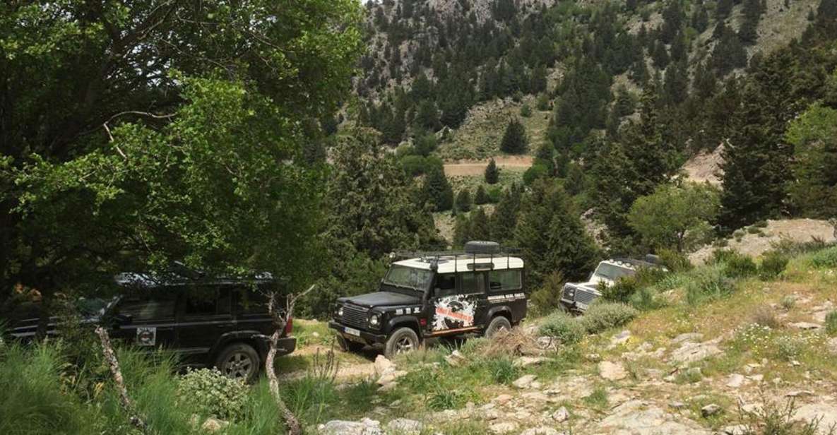 From Chania: White Mountains Land Rover Safari - Tour Overview