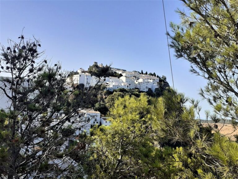 From Costa Del Sol: Casares Private Tour