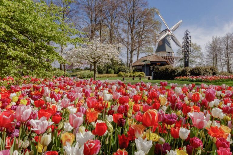 From Leiden Central: Keukenhof Ticket & Public Bus Transfer