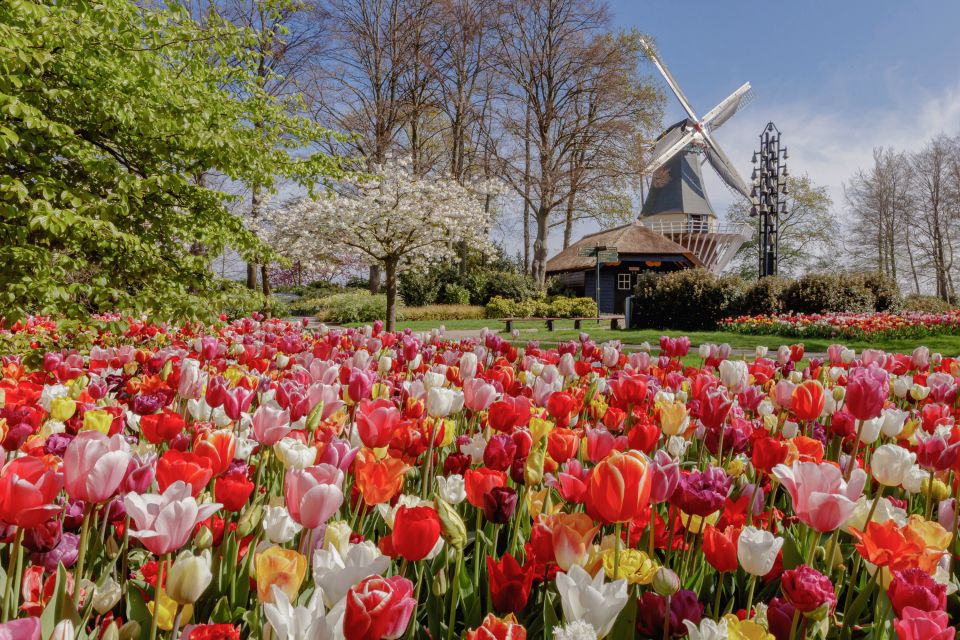 From Leiden Central: Keukenhof Ticket & Public Bus Transfer - Ticket Details