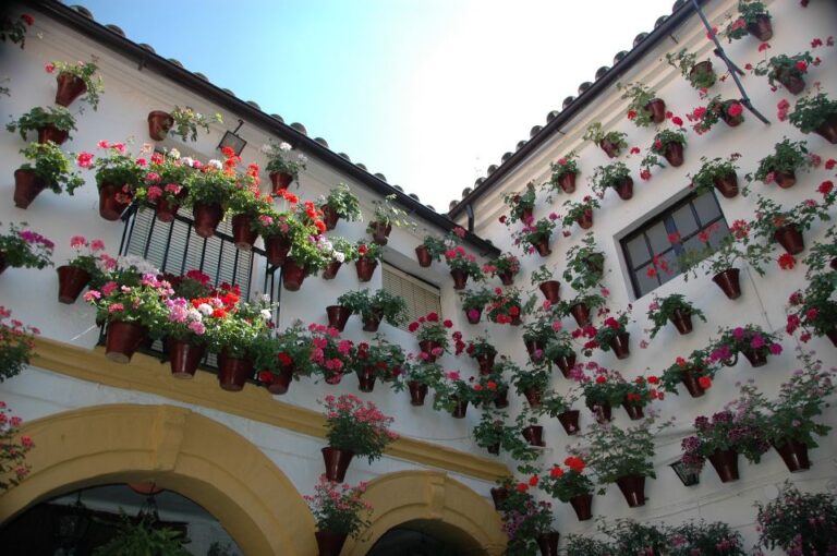 From Malaga: Private Guided Walking Tour of Córdoba