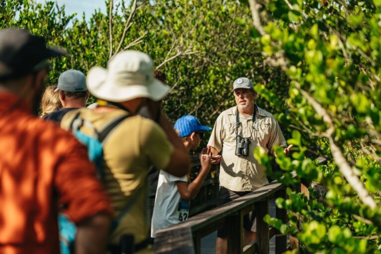 From Miami: Everglades Airboat Ride and Nature Walk