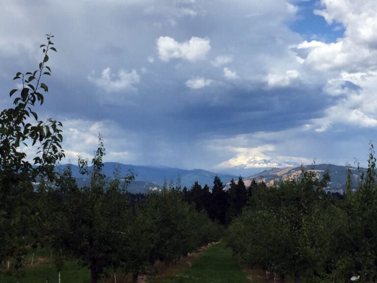 From Portland: Mt Hood, Hood River Valley and Columbia Gorge