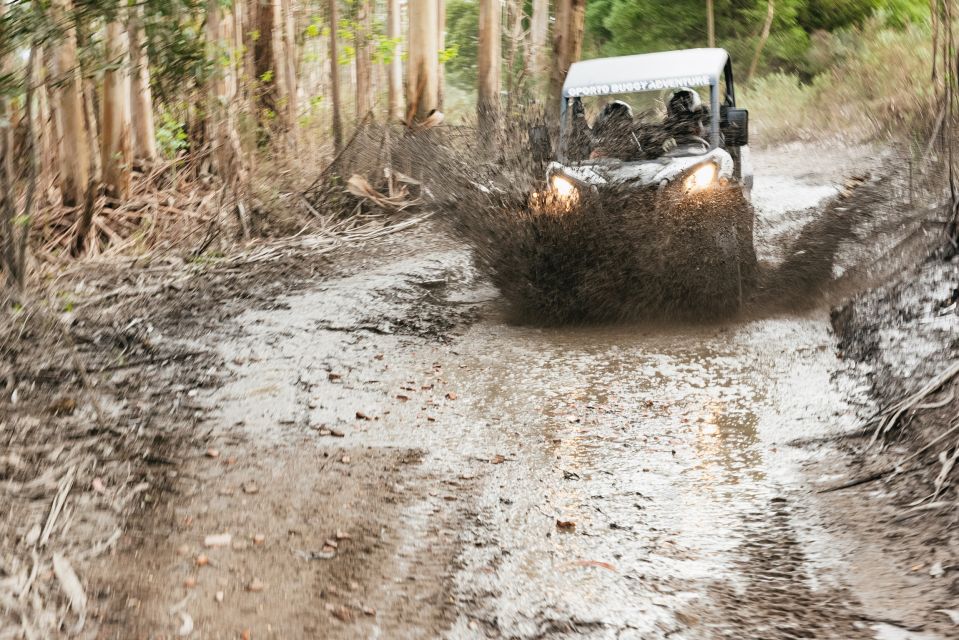 From Porto: Off-Road Buggy Adventure - Tour Details