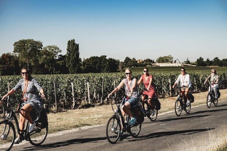 From Saint-Emilion : Half Day Electric Bike Tour