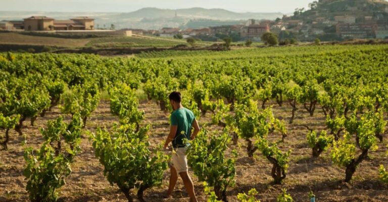 From San Sebastián: La Rioja Wine Region Day Tour