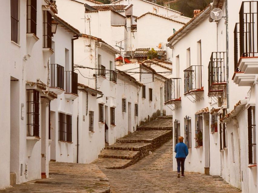 From Seville: Private Day Trip to Ronda - Trip Details