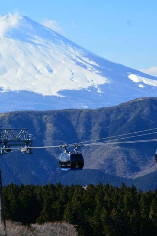 From Tokyo: 10-hour Hakone Private Custom Tour