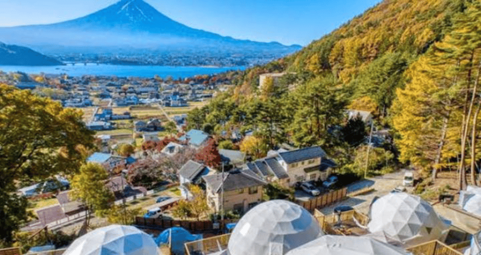 From Tokyo MT Fuji Fully Customize Tour With English Driver - Important Notes