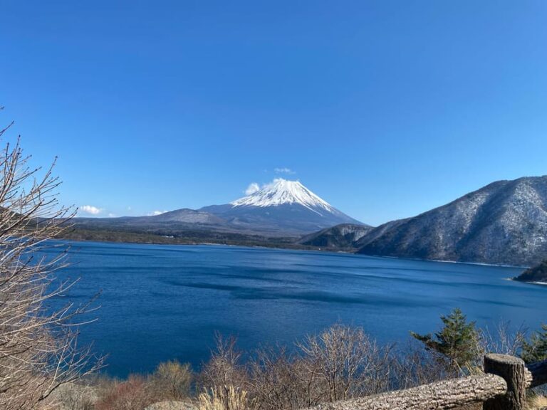 From Tokyo: Mt. Fuji Private Guided Day Tour With Hotel …