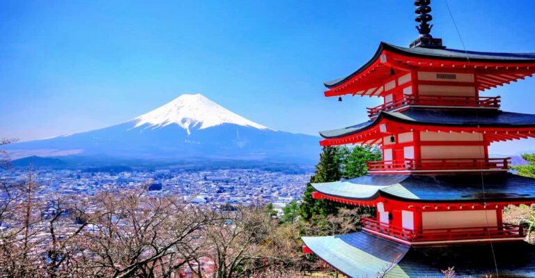 From Tokyo/Yokohama: Private Day Trip to Mt Fuji and Hakone