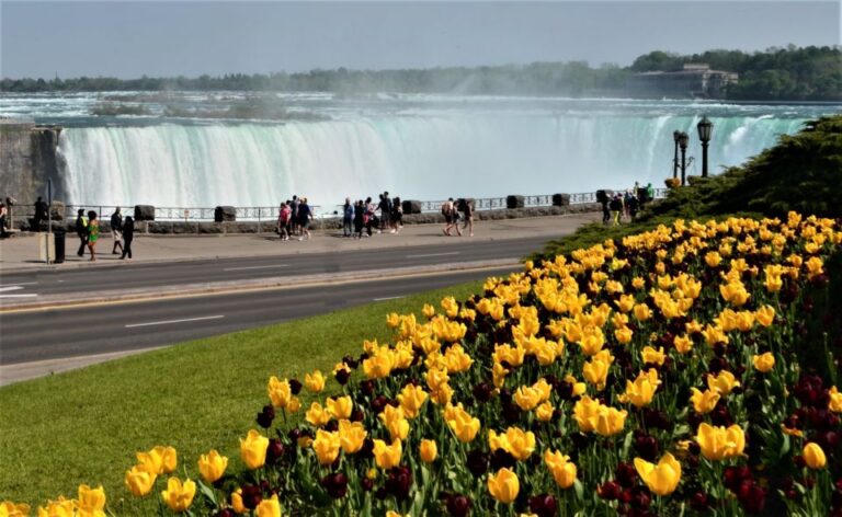 From Toronto: Niagara Falls Day Trip