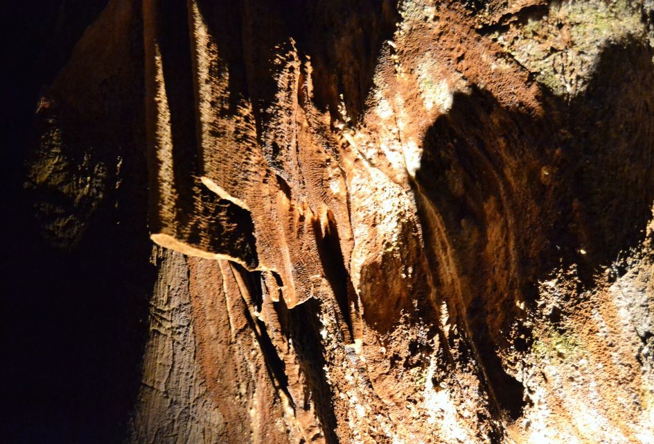 From Valencia: Private Half Day-Trip to Cuevas De San José - Tour Details