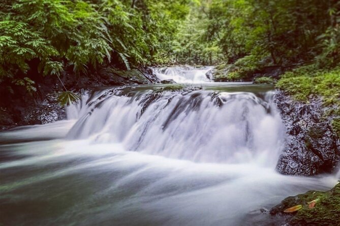 Full-Day Adventure in Corcovado National Park From Drake Bay - Inclusions and Exclusions