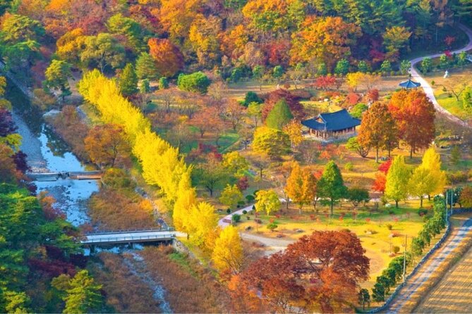 Full-Day Autumn Tour to Unmunsa Bhikkhuni Temple