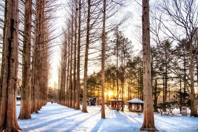 Full Day Private Tour Nami Island & Gangchon Elysian Ski