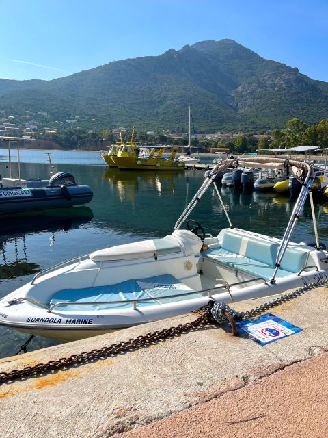 Gallery: Capelli 6.50 175 Hp Boat Rental