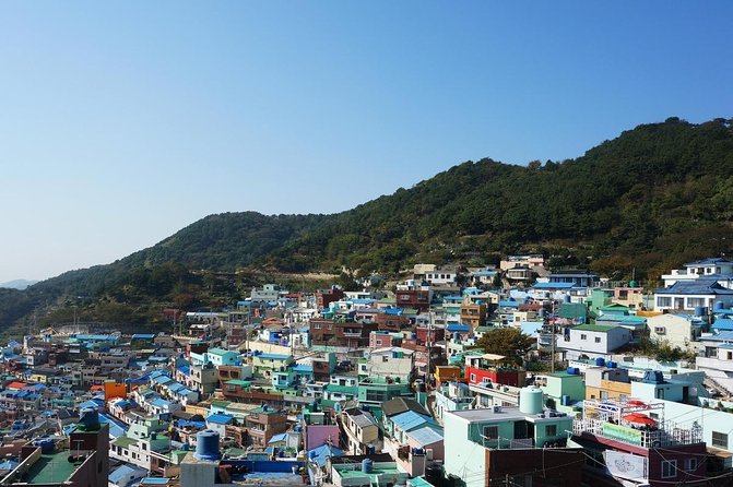 Gamcheon Culture Village, Jagalchi Fish Market Walking/Car Tour