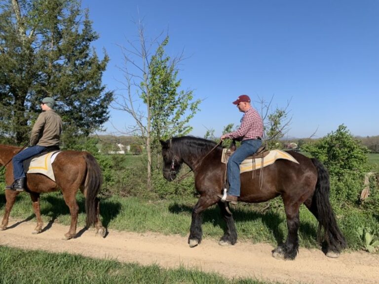 Gettysburg: Licensed Guided Battlefield Horseback Tour