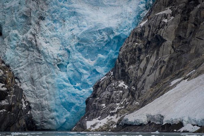 Glacier & Wildlife Discovery Tour - Scenic Drive Highlights