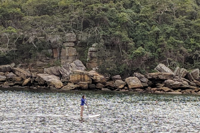 Golden Beaches and Ocean Vistas MANLY AND NORTHERN BEACHES PRIVATE TOUR