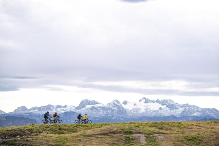 GRENOBLE : Electric Mountain Bike Rental