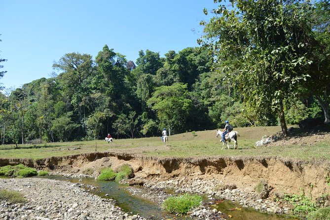 Guided Horseback Riding Tour in Manuel Antonio  – Quepos