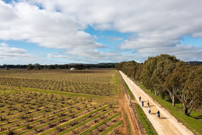 Hahndorf Food and Wine E-Bike Tour - Tour Highlights and Inclusions