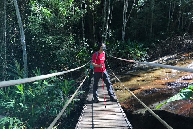 Half-Day Guided Tour of Tijuca Forest National Park  - Rio De Janeiro - Tour Pricing and Booking Details