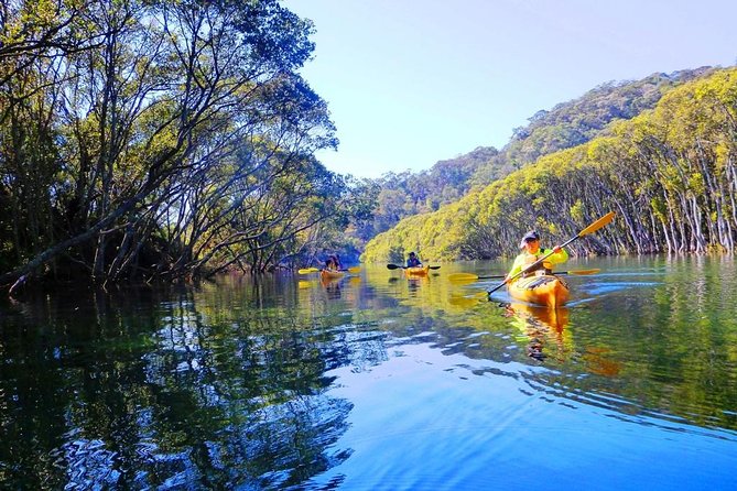 Half-Day Sydney Middle Harbour Guided Kayaking Eco Tour - Tour Highlights and Features