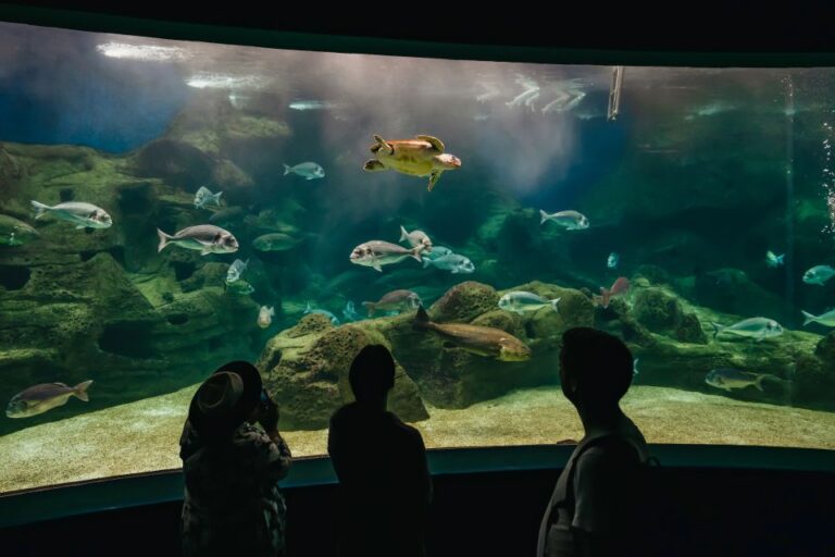 Heraklion Area: CRETAquarium Admission Ticket