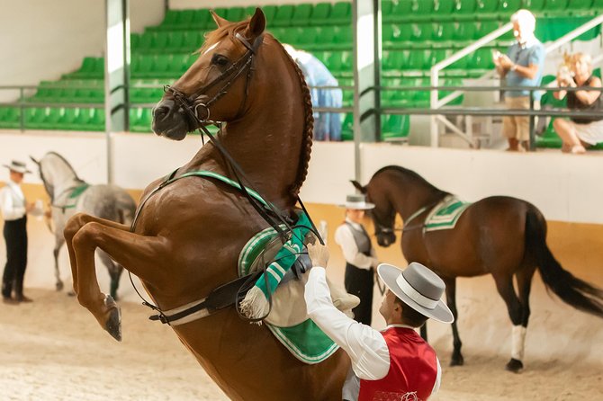 Horse and Flamenco Show in Malaga