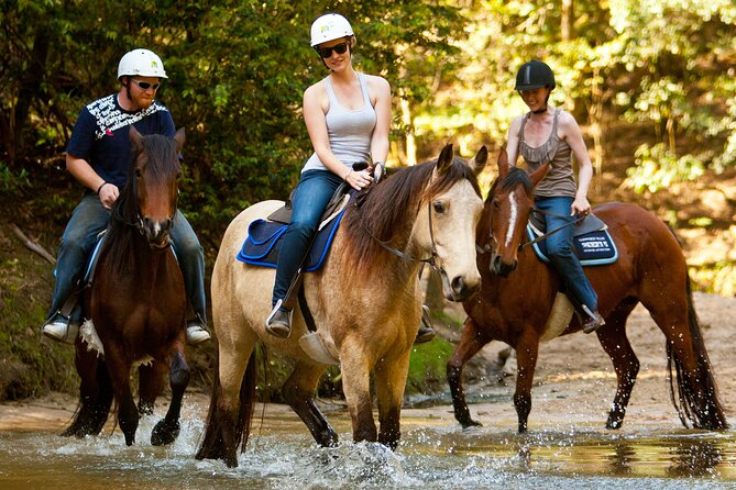 Horse Riding, Koalas & Kangaroos - Wild Australia: Private Tour - Sydneys Wild Adventure Awaits