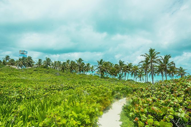 Isla Contoy and Isla Mujeres Tour With Snorkeling From Cancun - Tour Details and Logistics