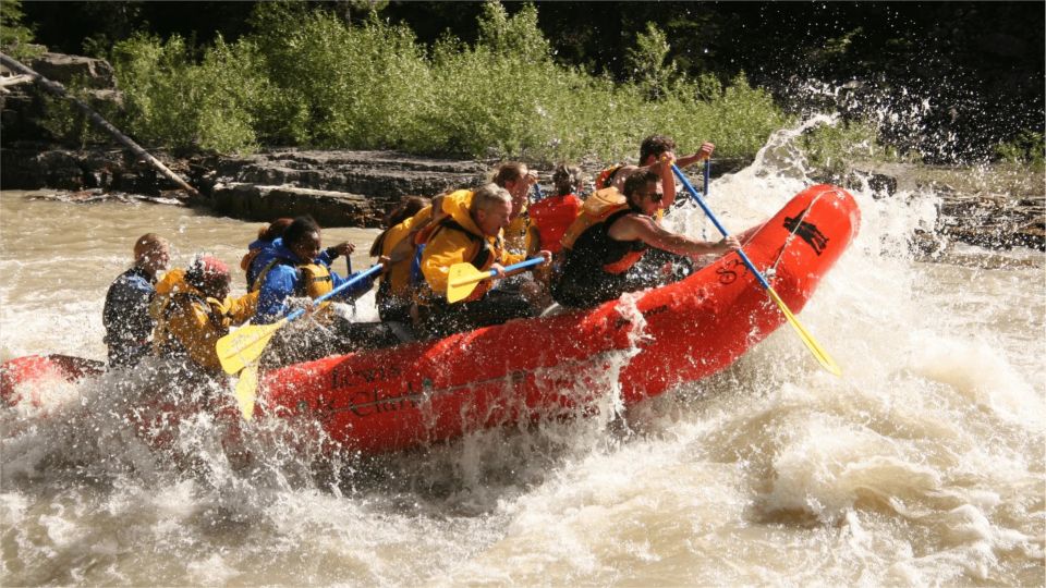 Jackson Hole: Snake River Whitewater Rafting Tour - Tour Inclusions